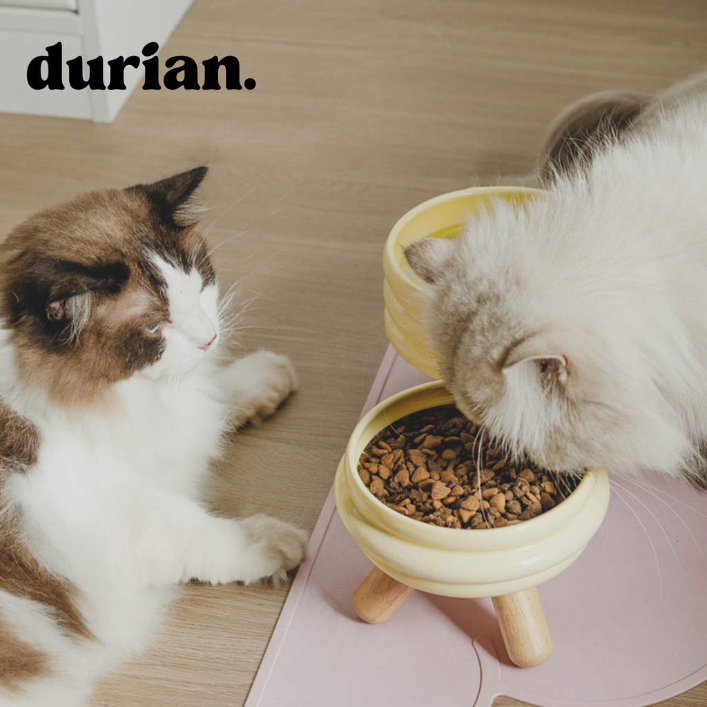 durian. ペットフードボウル 陶磁器製 高脚デザイン｜猫犬兼用 食器台付き フードボウル＆ウォーターボウル