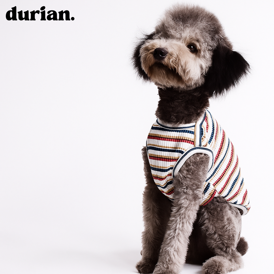 durian｜コットンリブ・ボーダータンク 高伸縮・ソフトフィット